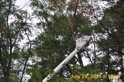 Entergy 051